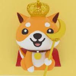 BabyDogeKing Price Prediction 2023-2030: Will it Reach the Moon?