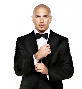 Copy of pitbull