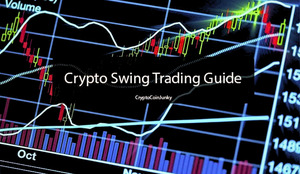 Crypto Swing FI